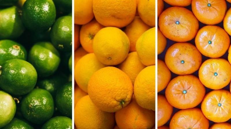 Producción de cítricos del hemisferio norte alcanzaría las 27.397.239 toneladas