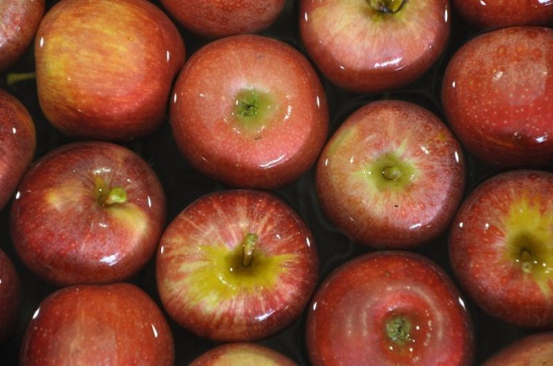 Producción de manzana de la Unión Europea alcanzaría los 12 millones de toneladas en la campaña 2023/2024