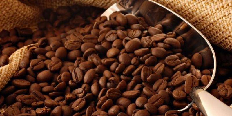 Producción del café decreció en la región Ucayali