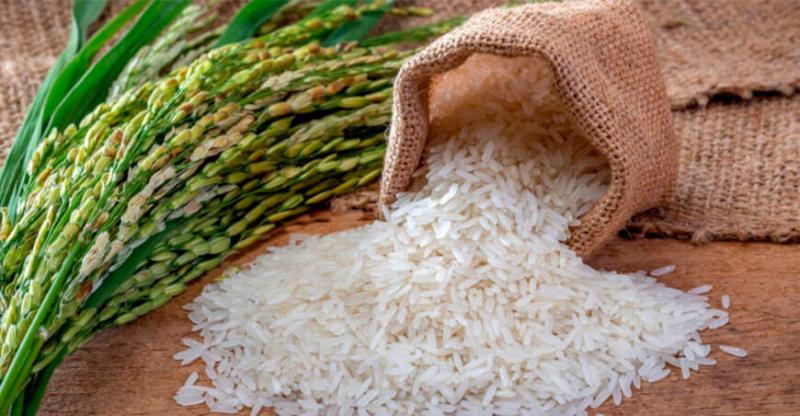 Producción mundial de arroz pilado alcanzó las 513.7 millones de toneladas en la campaña 2021/2022