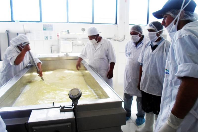 PRODUCCIÓN NACIONAL DE QUESO PUEDE SUSTITUIR IMPORTACIÓN DE DICHO PRODUCTO