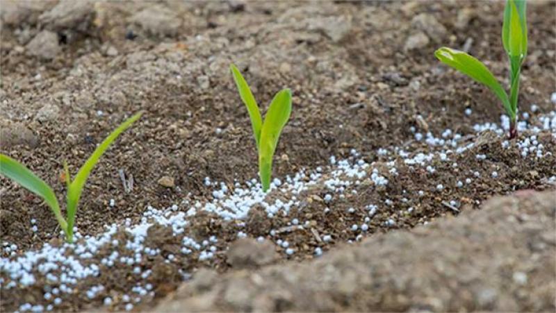Productividad del pequeño y mediano agricultor en nuestro país es de las más bajas de la región