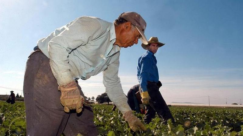 PRODUCTORES AGROPECUARIOS DE LA COSTA PASAN LOS 54 AÑOS 