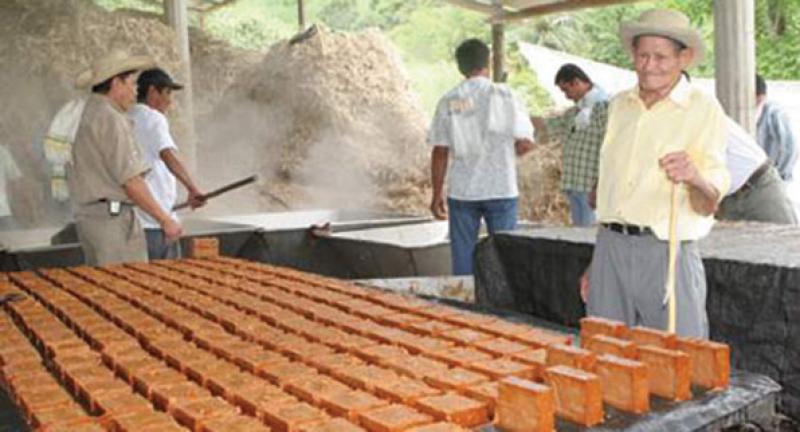 Productores de Piura organizan el IX Festival de la Panela Orgánica