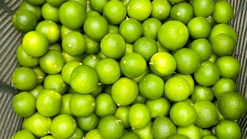 Productores de Tumbes comercializan 16 toneladas de limón para la agroindustria