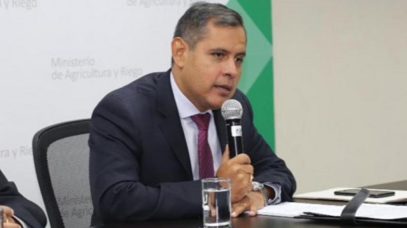 Productos agrarios competitivos tienen mayor oportunidad en el mercado externo