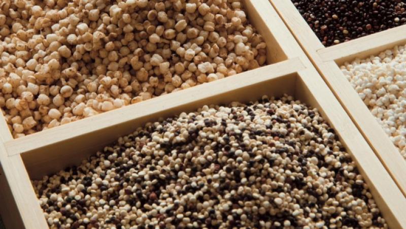 Promperú  impulsa el comercio transfronterizo con Brasil en Misión Comercial y Logística en Manaus