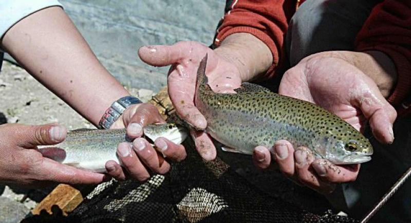 PUNOCOMPITE COFINANCIARÁ PLANES DE NEGOCIOS CON S/. 10 MILLONES