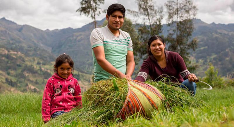 ¿Qué puntos clave debe mejorar la agricultura familiar peruana para volverse competitiva?