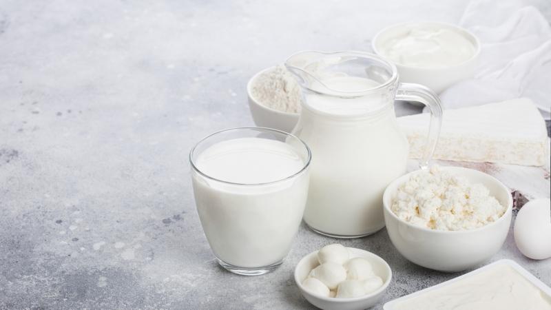 Queso fresco es el líder en su segmento con el 70% de las preferencias en el consumo local