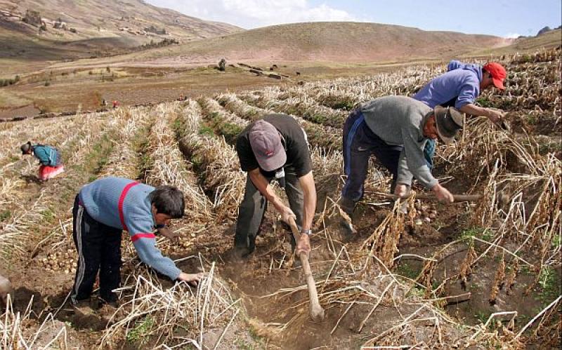 REALIZAN FORO SOBRE AVANCES Y DESAFIOS EN EL DESARROLLO RURAL DEL PERÚ