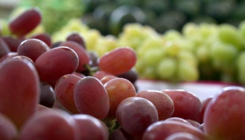 Reporte de la FDA: ¿qué productos peruanos vinculados a la agroexportación fueron rechazados en los últimos meses en el mercado de EE.UU.?