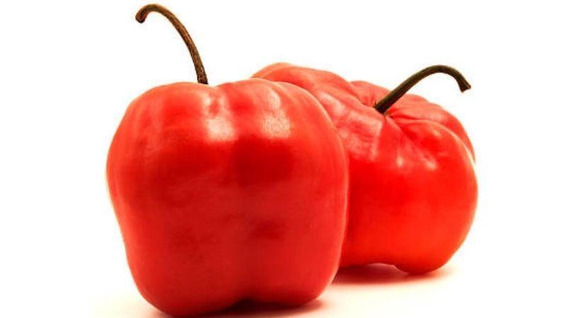 Rocoto de Huancavelica conquista mercados de Estados Unidos y Europa