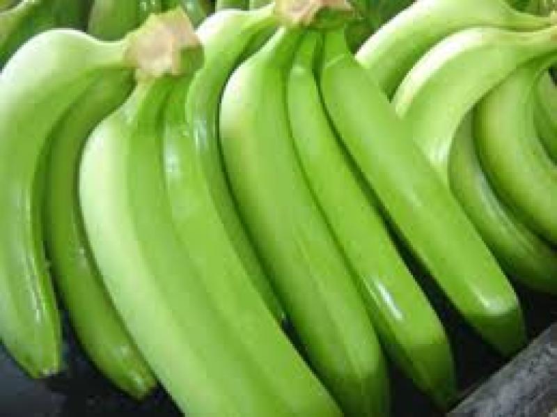 San Martín: asociación consolida venta de plátano a supermercados de Lima