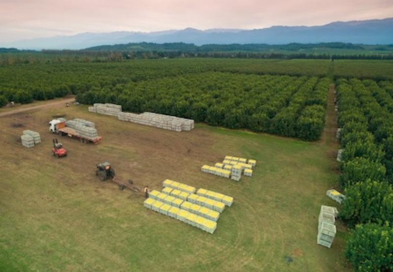 San Miguel adquiere Andean Sun Produce, empresa del grupo La Calera