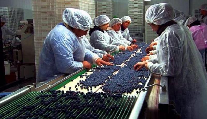 Se alista el ingreso de 190 productos agrícolas a mercados internacionales