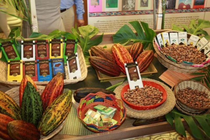 SE INCREMENTARÍAN A 28,000 LAS HECTÁREAS DE CACAO FINO Y DE AROMA EN 2016