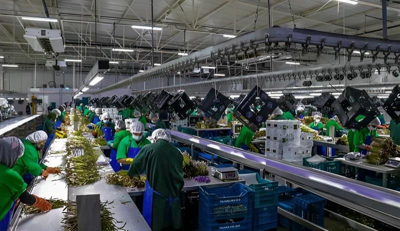 Se requiere inversión privada, estabilidad jurídica y competitividad para salir de recesión