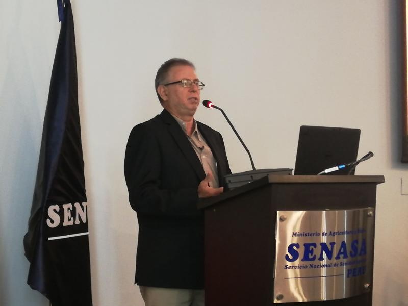 Se requieren más de 100 mil colmenas para el incremento de arándanos y paltos