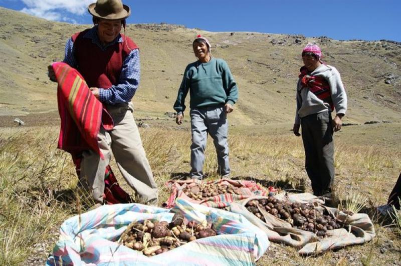 Se viene el Encuentro Nacional del Sistema de Garantía Participativo