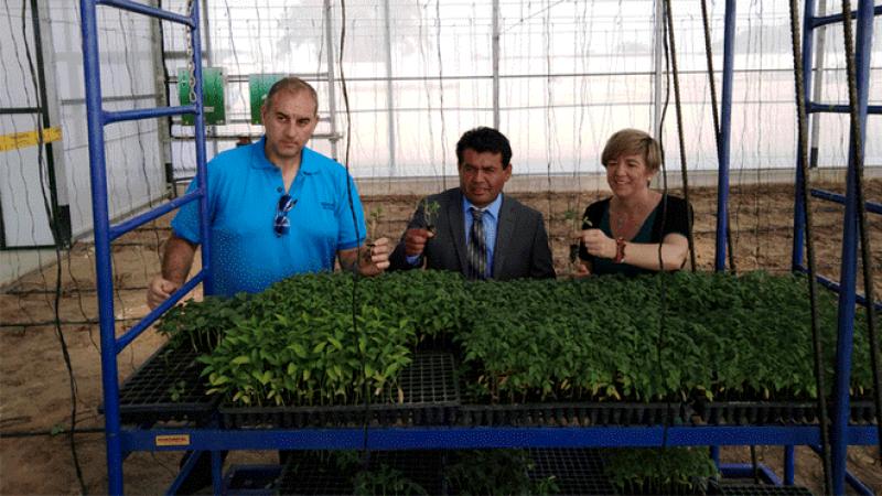 Sechura: inauguran invernadero para beneficio de estudiantes y campesinos