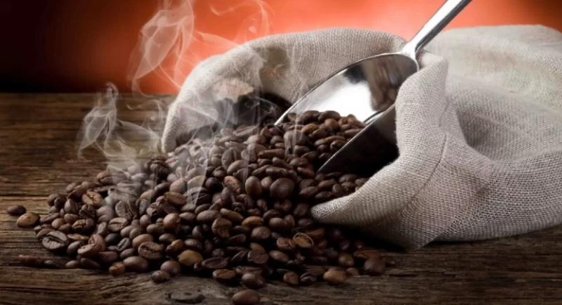 Sector agroexportador del café se prepara para un periodo de reequilibrio que podría redefinir los flujos comerciales para el año 2026