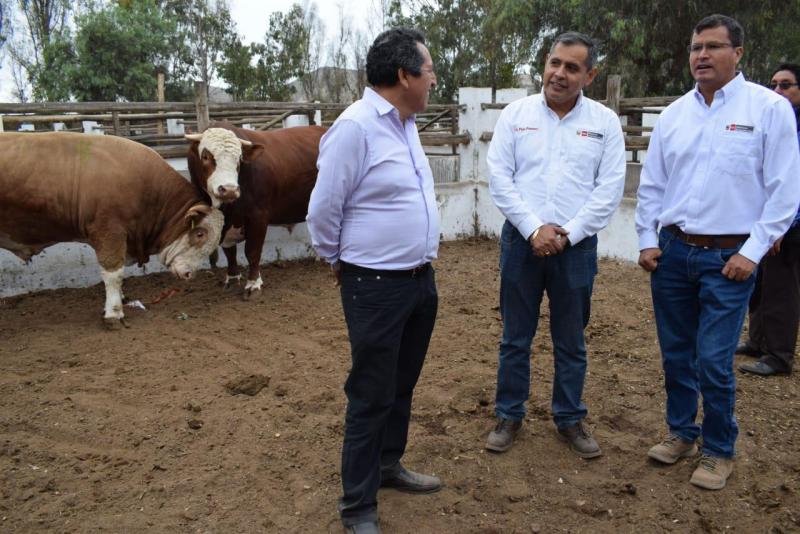 Sector pecuario nacional crecería 4% al cierre del año