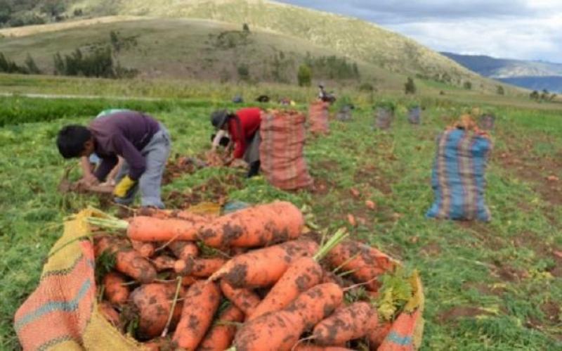 Seguro Agrícola Comercial subsidiado debe de estar listo para abril