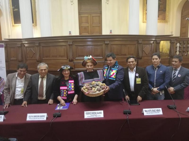 Seis metas a cumplir al 2021 para el desarrollo de la papa en nuestro país