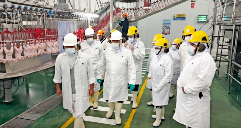 Senacsa Paraguay inspeccionó centros de faenamiento de aves en Lima e Ica