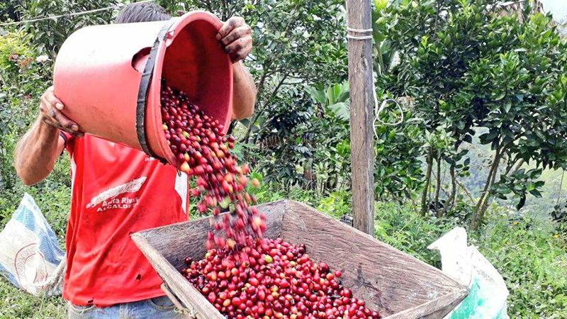 Si la producción de alimentos es sostenible, el consumo también debería serlo