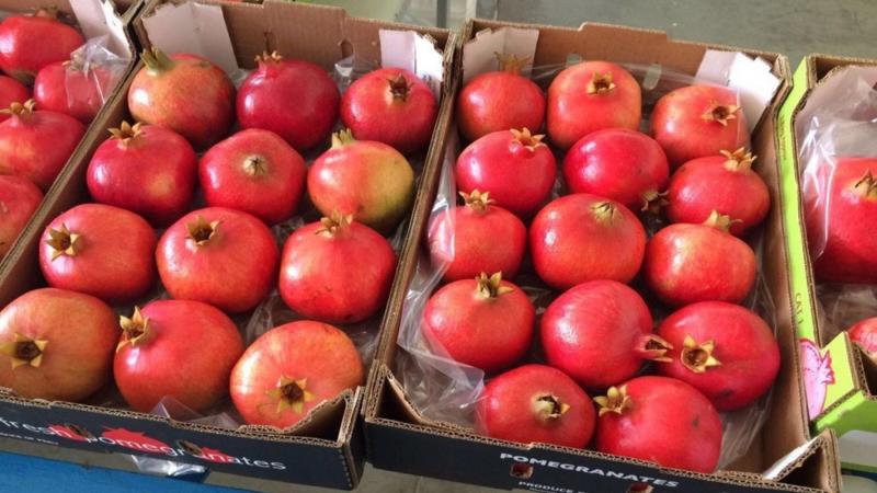 Si Perú mantiene sus exportaciones de granada por debajo de los 35 millones de kilos por temporada, sus retornos serán positivos