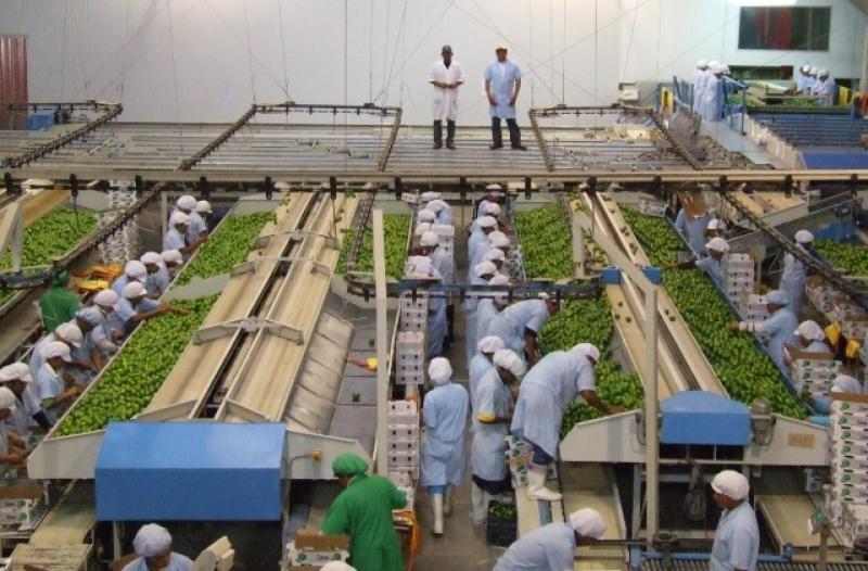 SIMPLIFICACIÓN DE TRÁMITES SANITARIOS REDUCIRÁ COSTOS E IMPULSARÁ EXPORTACIONES