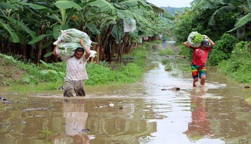 Solo 10% de créditos se refinanciaron por Niño costero de 2017