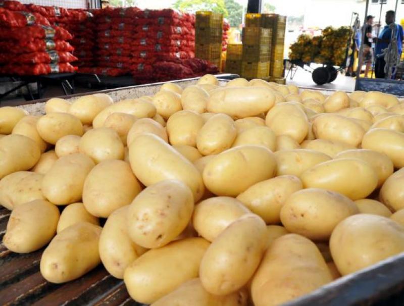 Solo 300 personas a nivel nacional trabajan en el procesamiento de la papa