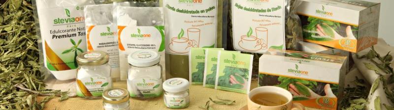 Stevia One planea operar planta procesadora en los próximos meses