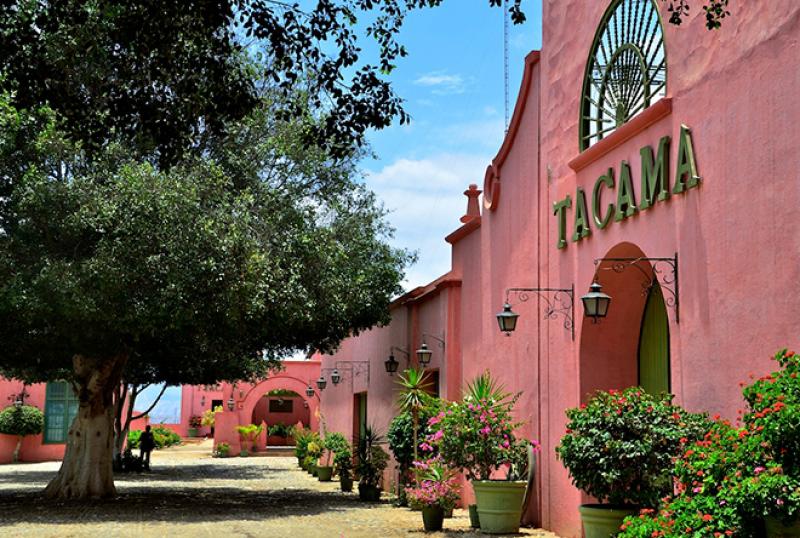 Tacama reforzará presencia en ultrapremium con nuevo pisco