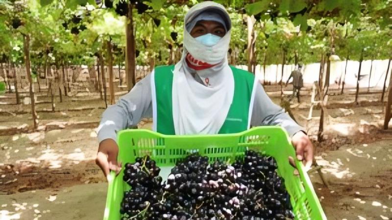 Tenemos que dar gracias por tener en Ica una región tan privilegiada