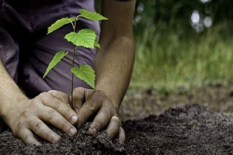 Transición verde: opción bioeconómica para América Latina