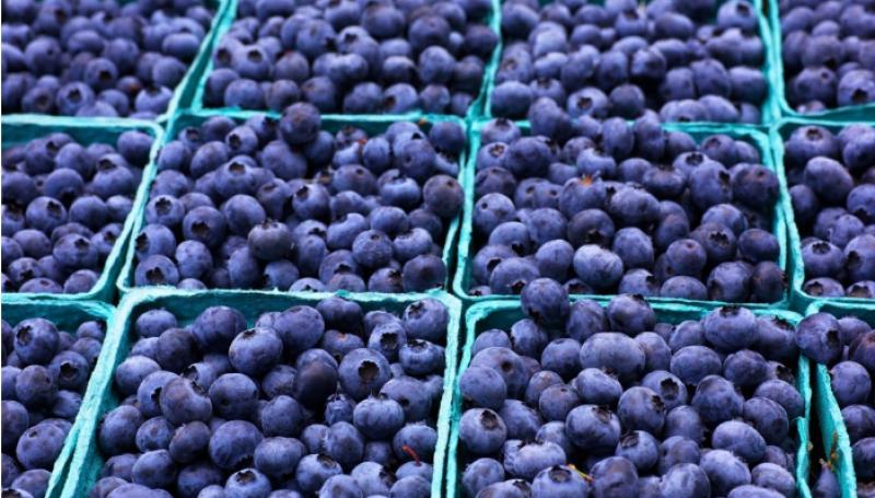 U.E. publica la lista de productos procedentes de Estados Unidos que serán gravados por aranceles