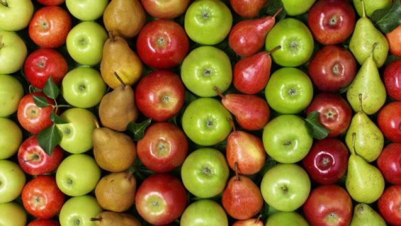 Wapa: existencias europeas de manzanas subieron 7% en junio de 2024