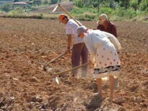 2014 SERÁ EL AÑO DE LA AGRICULTURA FAMILIAR 