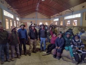 329 familias de criadores de Cusco logran comercializar directamente fibra alpaca a la industria textil