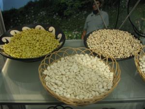 ADEX PIDE AL GOBIERNO PROMOCIONAR FRIJOLES PERUANOS