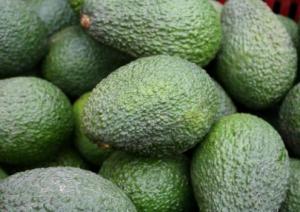 AGRÍCOLA CERRO PRIETO PREVÉ MEJORES PRECIOS PARA LA PALTA HASS EN EE.UU. 