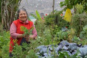 Agricultores de Lima ofrecerán productos frescos y libres de químicos en expoferia