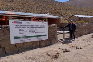 Agro Rural construye 585 cobertizos para proteger a 58.500 cabezas de ganado en 5 regiones