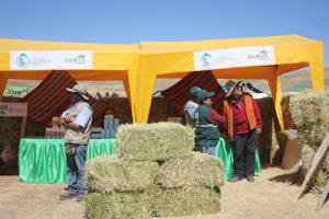Agro Rural entrega 13.200 kilos de alimento concentrado para ganado