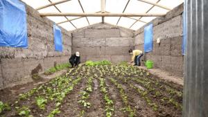 Agro Rural es la segunda unidad ejecutora del Midagri con mayor avance presupuestal en los primeros siete meses del año