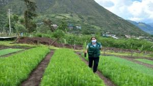 Agro Rural instalará 30.000 plantones forestales en Piura